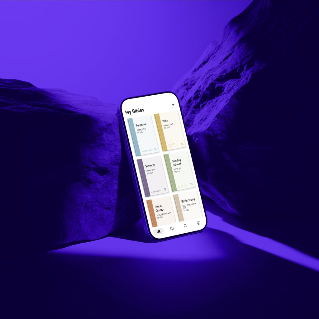 My Bibles - Multiple Bible cards for different contexts